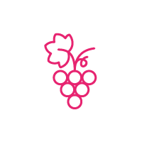 Weinbau