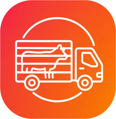 Transport des animaux