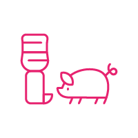 Alimentation animale