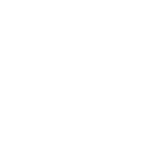 logo Carrefour Checklist supermercados retail Iristrace